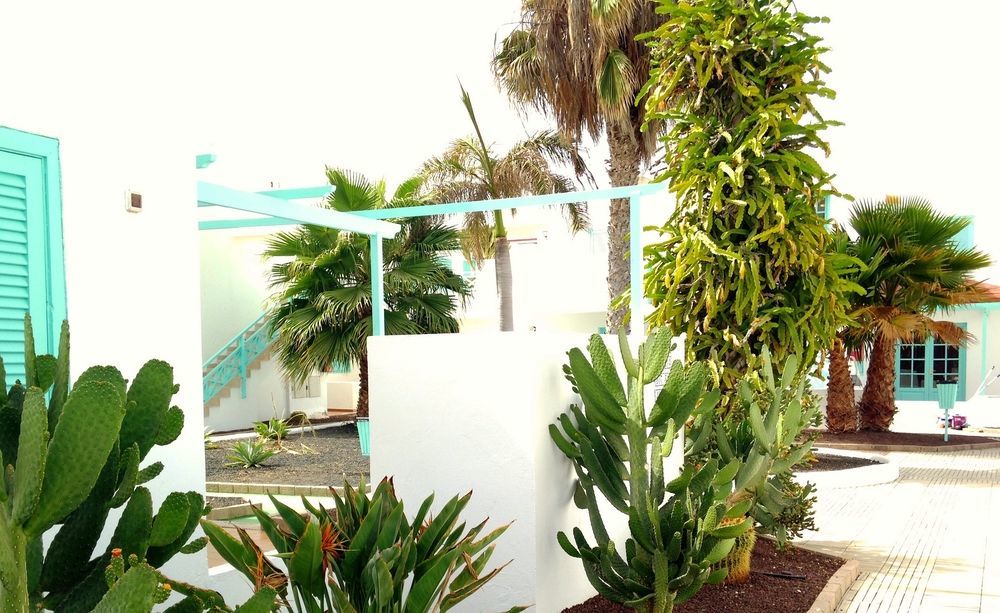Smy Tahona Fuerteventura Hotell Caleta De Fuste Eksteriør bilde